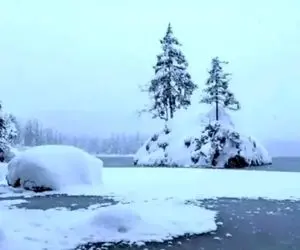 بازی فکری؛ اگه بتونی خرس قطبی رو تو تصویر پیدا کنی دیدت سالمه در حد لالیگا