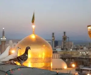 آواز احساسی؛ زائر قلب شکسته چه با هق هق آهنگ قربون کبوترای حرمت رو تو صحن میخونه 