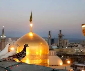 آواز احساسی؛ زائر قلب شکسته چه با هق هق آهنگ قربون کبوترای حرمت رو تو صحن میخونه 