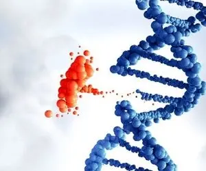 کرج، میزبان دومین همایش بین‌المللی ویرایش ژن 