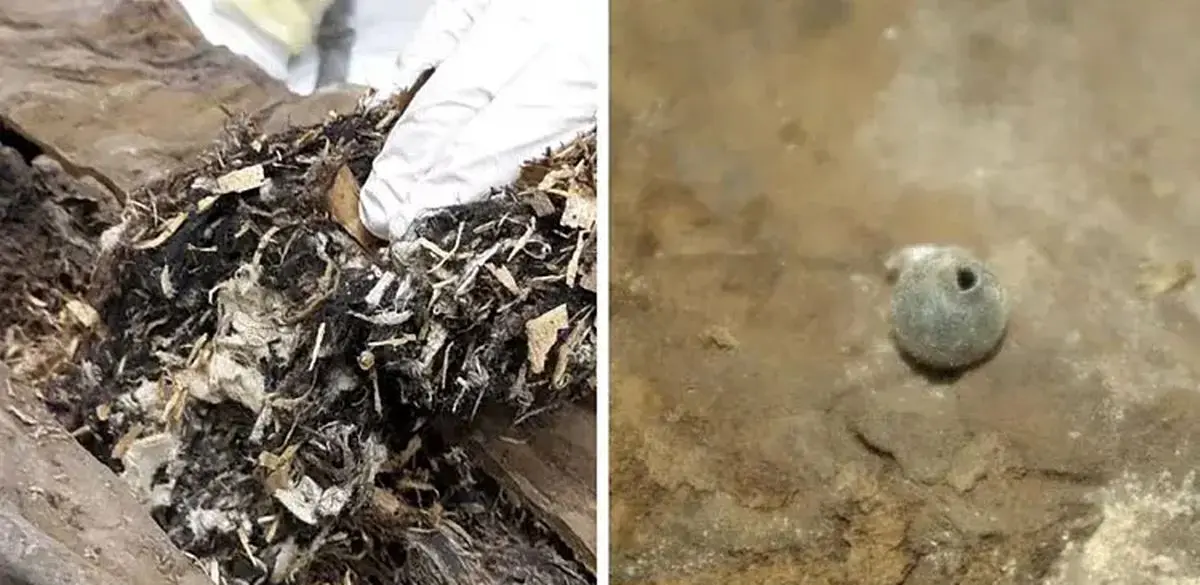 مومیایی از مقعد کشیش