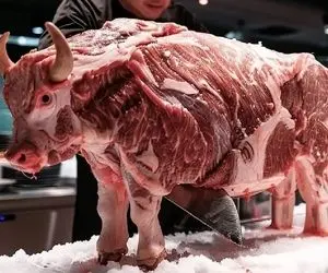 گاوداری مدرن؛ هزارتایی گاو پرورش می دن و بعد کشتار گوشت شان را پردازش می کنند