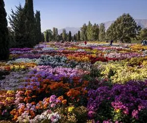 دیدنی‌ها؛ باغ گل حیرت‌انگیز در دبی، انگار شیوخ امارات یه تکه از بهشت رو آوردن رو زمین!