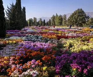 دیدنی‌ها؛ باغ گل حیرت‌انگیز در دبی، انگار شیوخ امارات یه تکه از بهشت رو آوردن رو زمین!