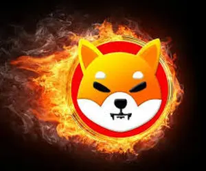 قاتل شیبااینو اعلان ورود کرد!