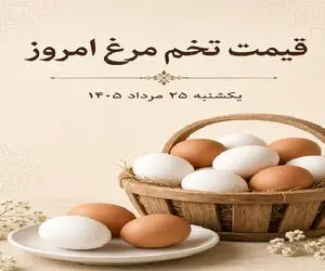 قیمت تخم مرغ امروز یکشنبه 25 مرداد 1405 /تخم مرغ شانه ای چند؟ + جدول