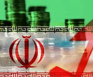 (ویدئو) پرواز دسته جمعی بازارهای ایران