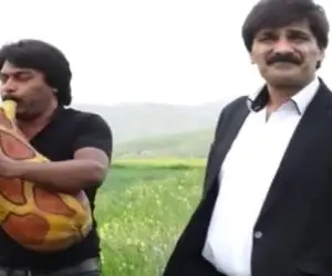 آواز محلی؛ چقدر نوستالژیکن تو دشت و صحرا آهنگ بندری غمگین میزنن و میخونن ماشاالله