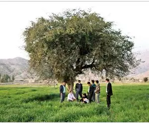 وضعیت روستای مال‌ملا دو سال پس از سقوط بورس
