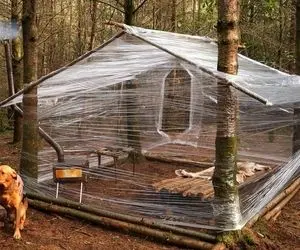 معماری خلاقانه؛ آقاهه تو جنگل واسه اینکه از سرما یخ نزنه با مشما یه کلبه ساخته 