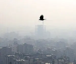 مدارس و دانشگاه های تهران سه شنبه و چهارشنبه غیرحضوری اند؟