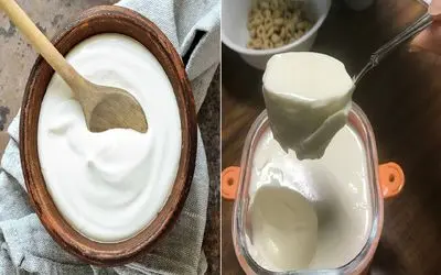 راز ماست سفت و خوشمزه خونگی رو میخوای بدونی؟/ دیگه نگران آب افتادن ماستت نباش