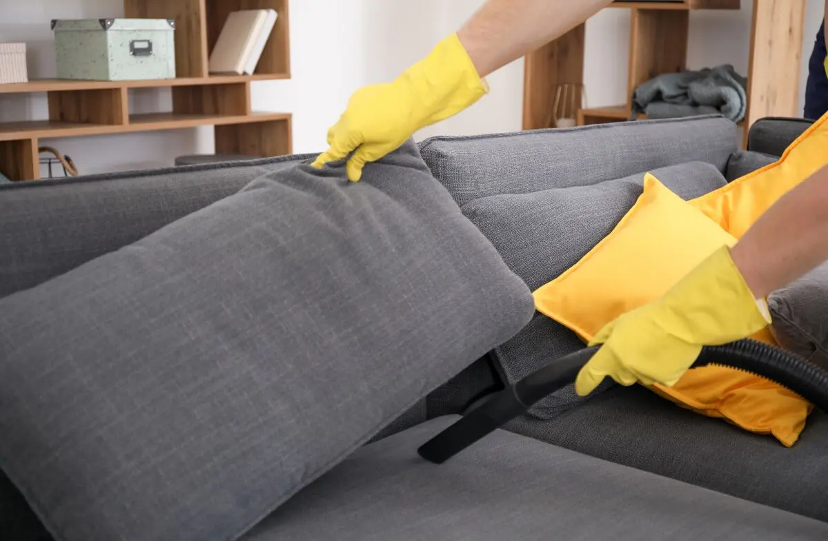 Cleaning-the-sofa-4