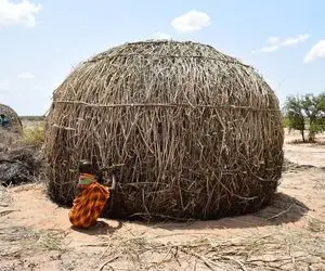 معماری خلاقانه؛ وسط بیابون دسته بیل‌ها کنار هم چید و بست از حمله شیرها در امان باشه