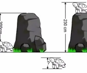 بازی فکری؛ باید خون فریدریش تو رگات باشه تا ارتفاع لاکپشت رو بگی