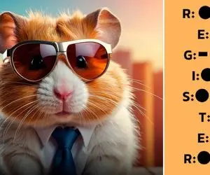 کد مورس همستر کامبت امروز شنبه 17 شهریور + آموزش ویدئویی