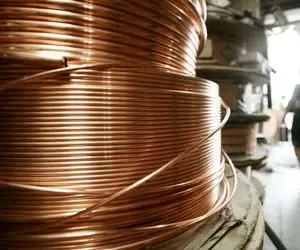 پیش‌ بینی سود فملی / فملی در سال مالی ۱۴۰۳ چقدر سود می‌سازد؟