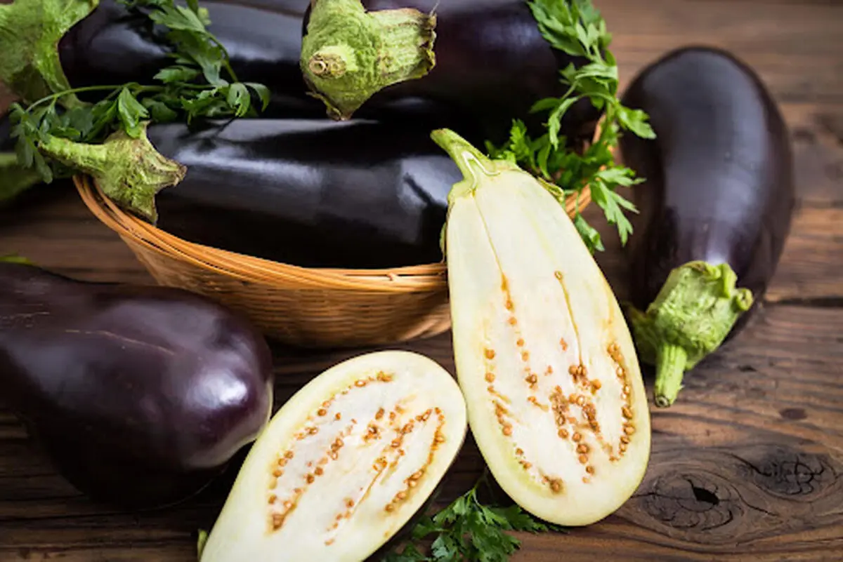 eggplant