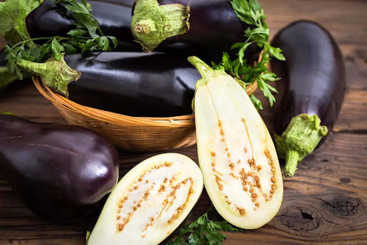 eggplant
