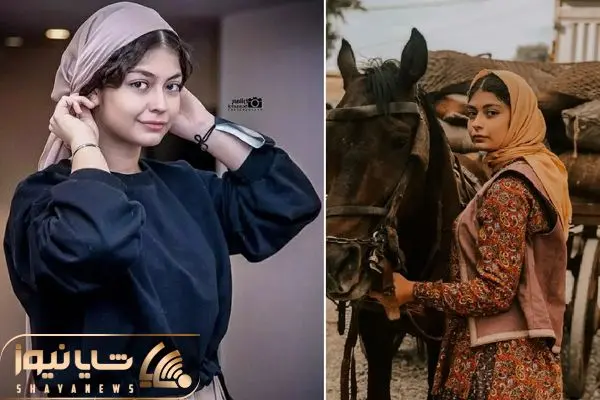 setayesh dehghan shayanews