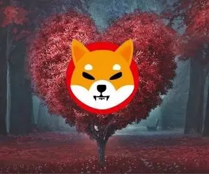 برد چشمگیری نصیب شیبااینو دارها شد؟؟