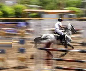 مستند حیات وحش؛ اسب چموش طوری مرد بیچاره رو زد زمین که طرف نفهمید از کجا خورد