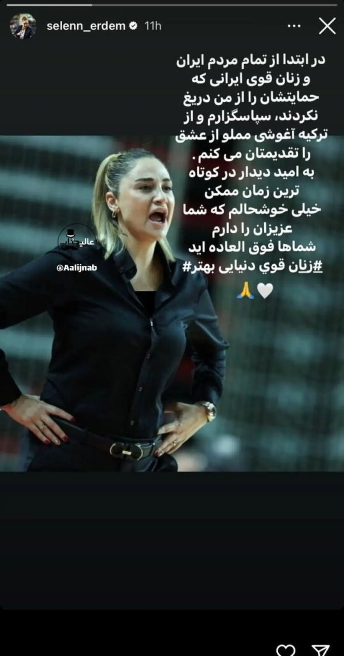 selenerdem1-538x1024