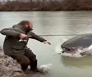 معماری طبیعت؛ ماهیگیر اگه میدونست تهش اینجوری به فنا میره ماهی نمیگرفت