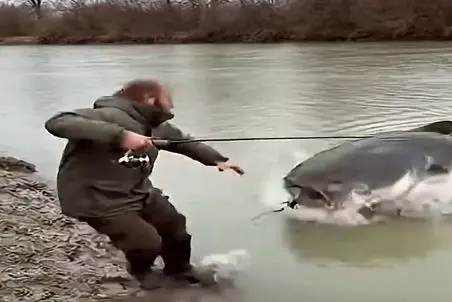 معماری طبیعت؛ ماهیگیر اگه میدونست تهش اینجوری به فنا میره ماهی نمیگرفت