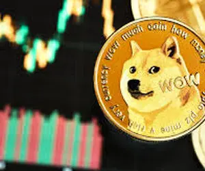 تحولی عظیم از دوج کوین!!