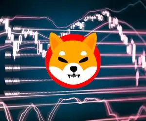 تلاقی مرگ شیبااینو قطعی شد؟!