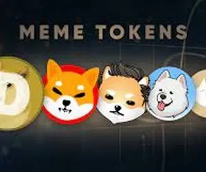 سیگنالی مهم برای میم کوین ها(شیبا،دوج کوین و...)