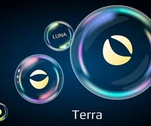 دلیل به چالش کشیدن رقیب شیبااینو، لونا؟؟