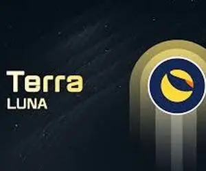 پیش گویی مهم از شیبااینو ولونا!!