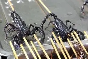 غذای خیابانی؛ تو چین عقرب زنده، حشرات و چنگال ببر رو به طرز وقیحی میخورن جل الخالق