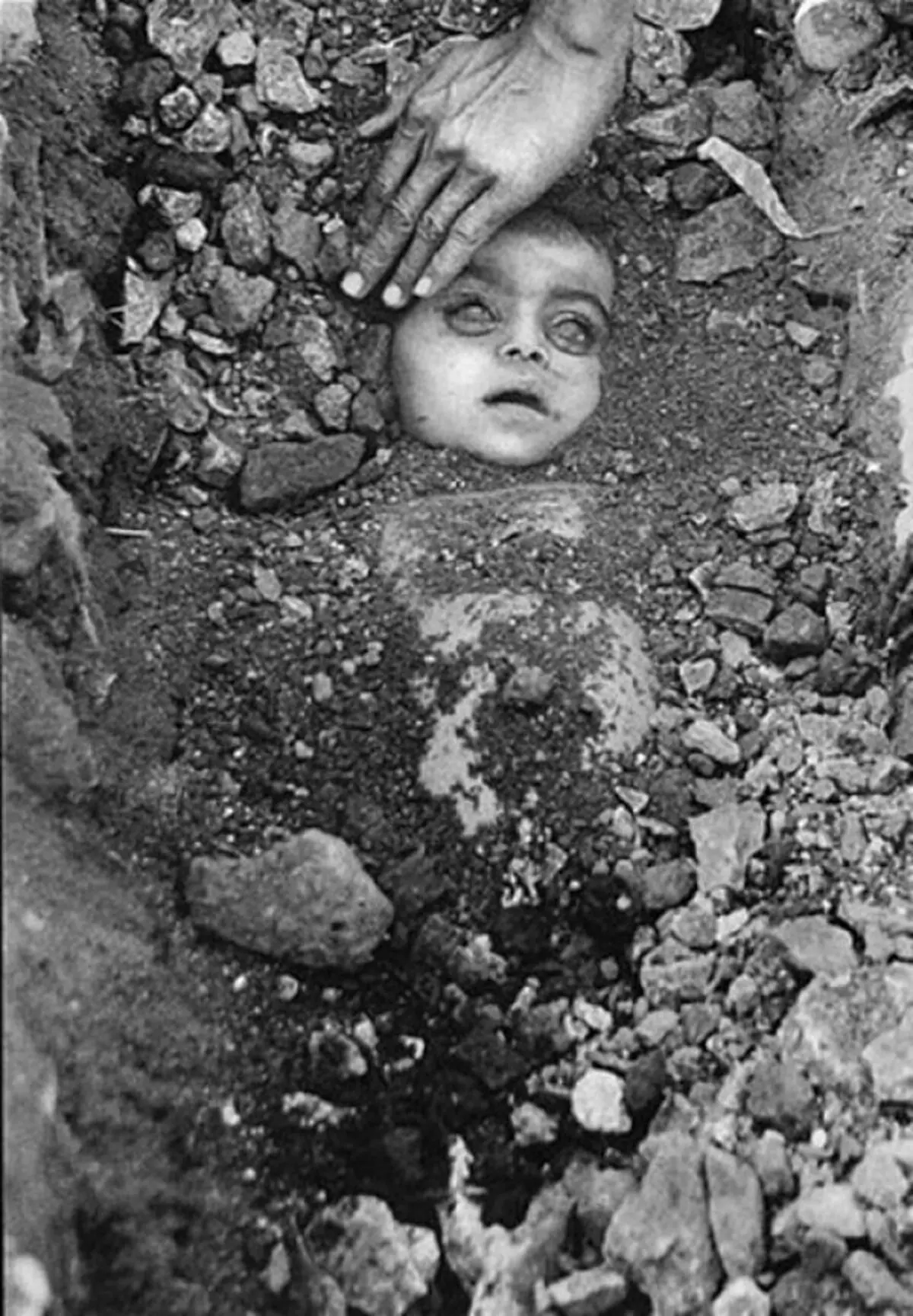 عکس هایی که جهان را شوکه کرد