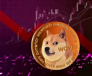 دوج کوین درحال برکناری؟!