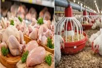 قیمت مرغ امروز دوشنبه 13 مهر 1405 + جدول