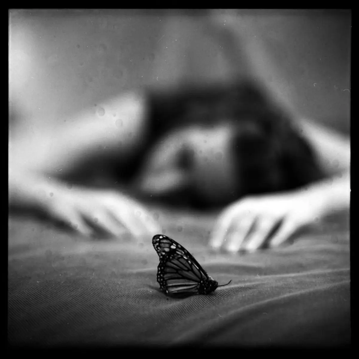 زنانگی در قاب