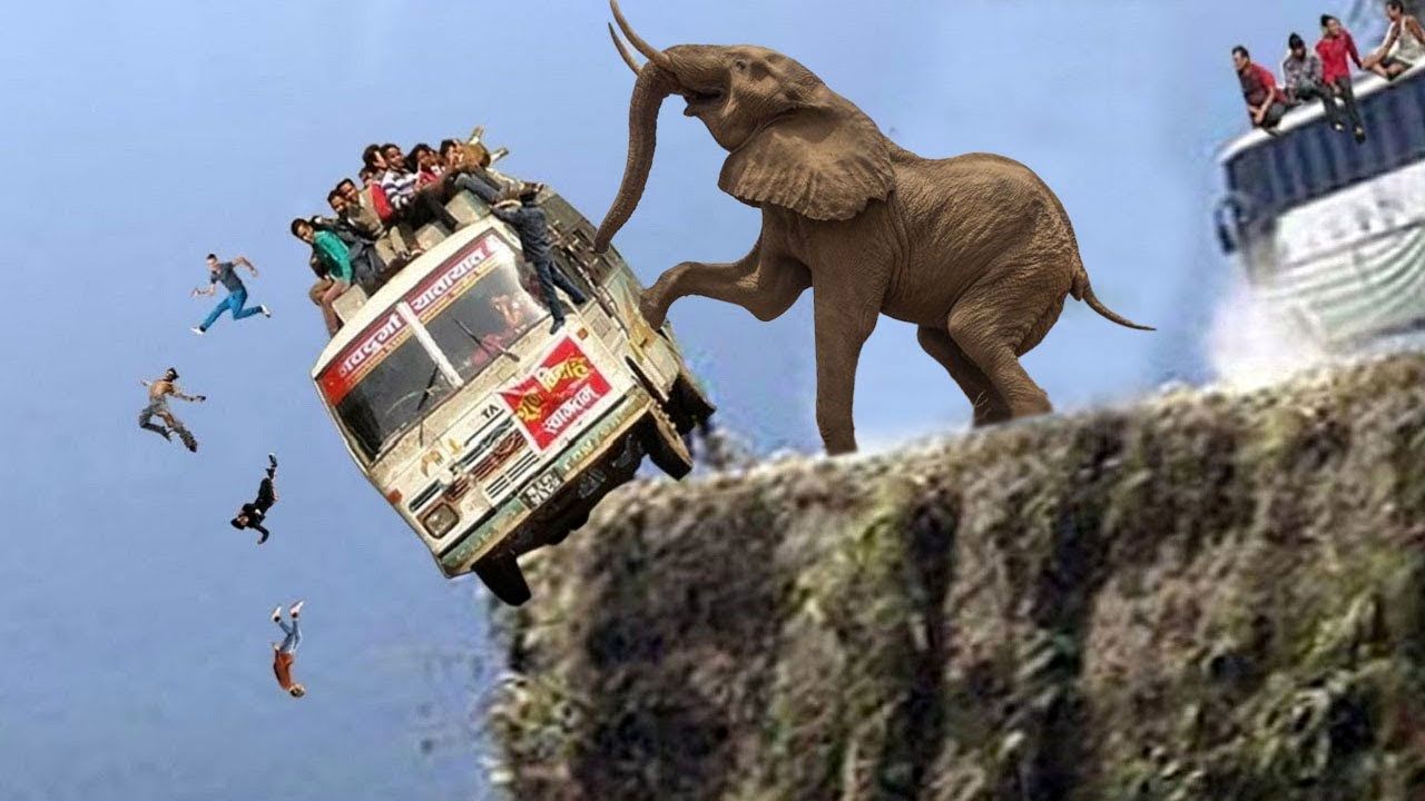 جا به جایی های جانکاه؛ حمله فیل به ون پر از مسافر مردم از پنجره خودشون پرت کردن پایین