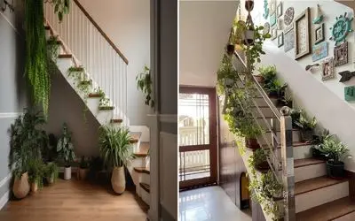 گیاهان آپارتمانی مختص راه پله تاریک / تصفیه کننده هوا و همیشه سبز حتی در فصول سرد سال