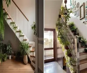 گیاهان آپارتمانی مختص راه پله تاریک / تصفیه کننده هوا و همیشه سبز حتی در فصول سرد سال