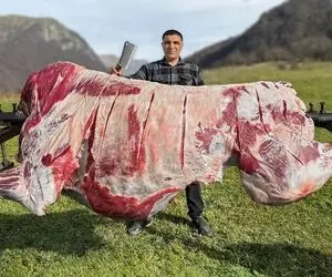 غذای روستایی؛ پوست گاو رو قلفتی کندن درسته زدن به سیخ برقی باهاش کباب ترکی درست کردن