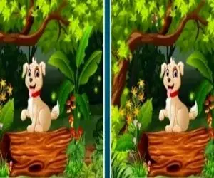 بازی فکری؛ مدعی هستی بهترین دید تو فک و فامیل رو داری؟ 3 تا تفاوت تصویر سگو پیدا کن