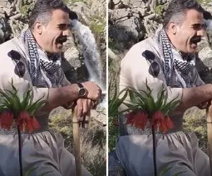 آواز جیگر سوز؛ آقا یکه و تنها تو کوه و دشت عصا به دست با اشک آهنگ حسن زیرک رو خوند