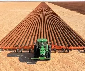 کشاورزی نوین؛ شخم زدن مزارعی که به وسعت کویر لوت هستند با ماشین های مکانیزه