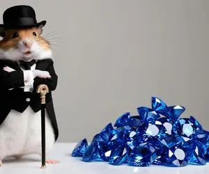 قیمت ارز همستر کامبت مشخص شد