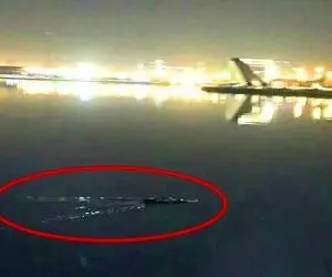 (عکس) اردک ماهی دریاچه چیتگر چگونه جانوری است؟