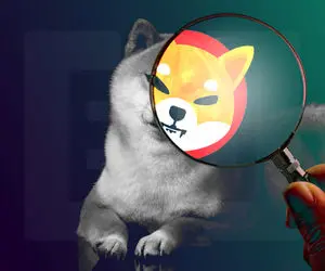 آغاز کاری عجیب از شیبااینو!