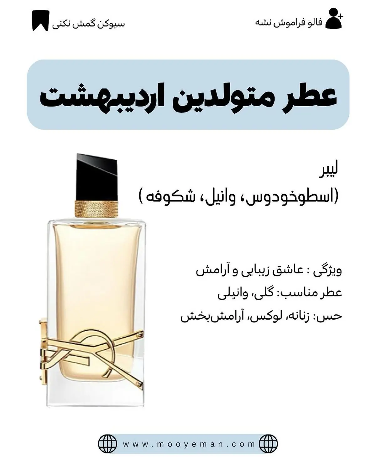 520521274_18074666852496120_4970652484174789566_n